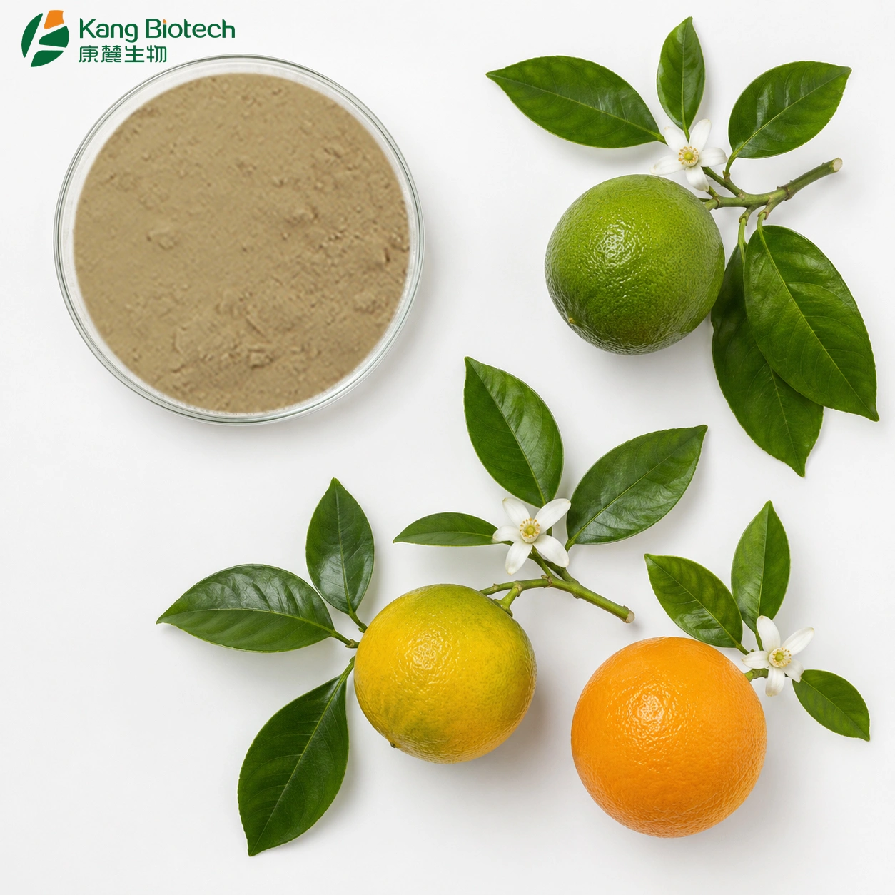 Polymethoxylated Flavones Citrus Peel